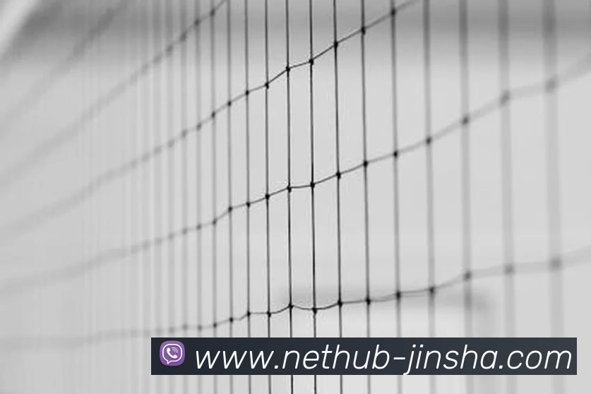 金沙娱乐城品牌故事